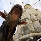 Udaipur von Unten betrachtet