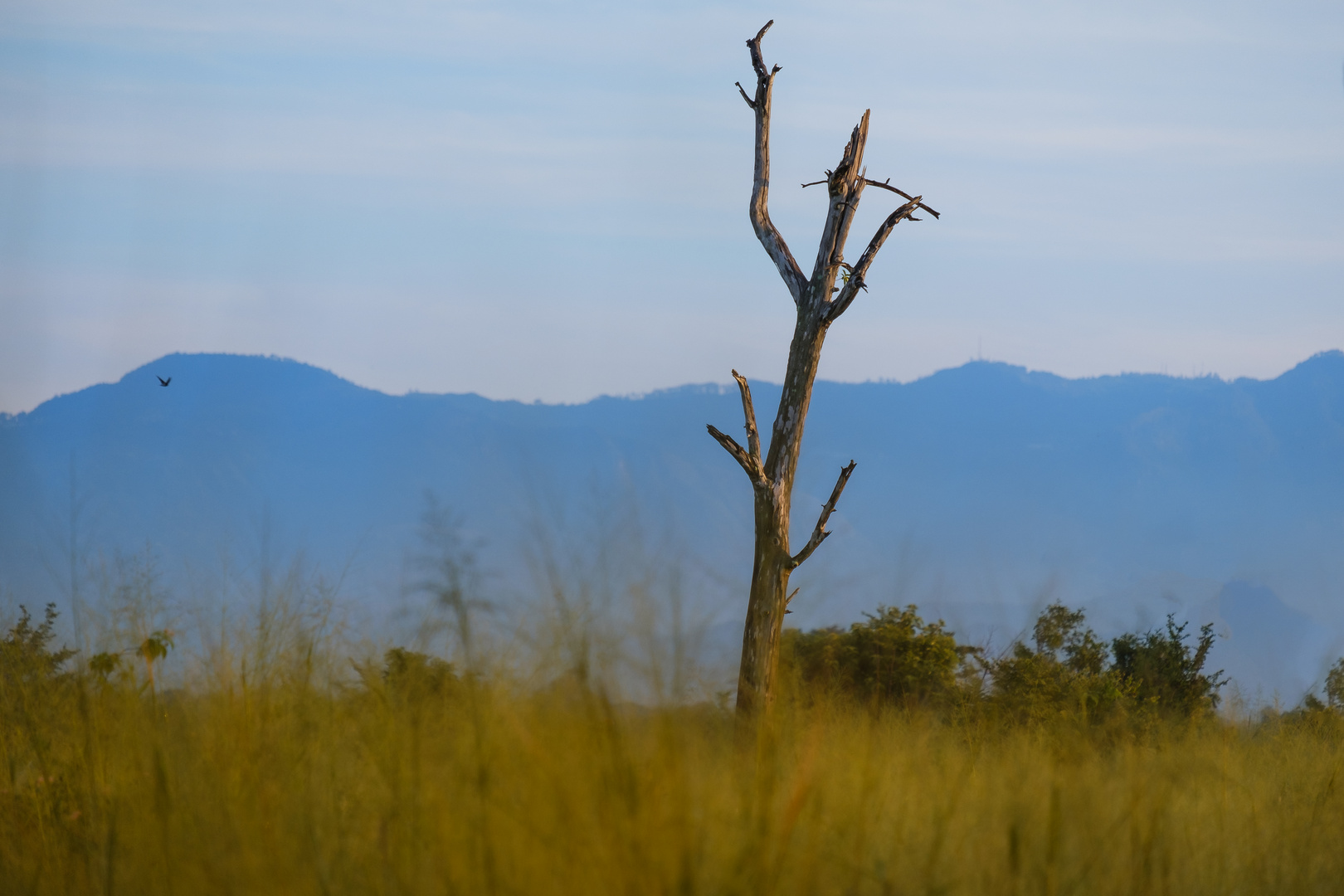 Udawalawe National Park