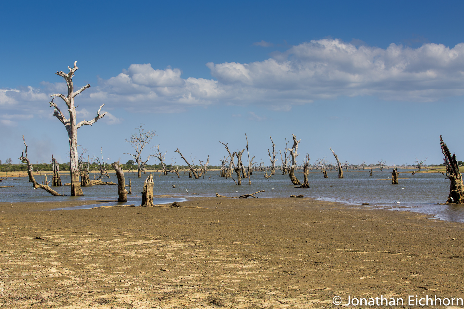 Udawalawe Nationalpark