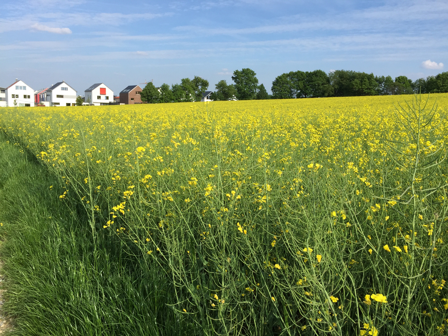 Udldinger Feldweg