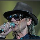 Udo Lindenberg 2012