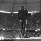 Udo Lindenberg 