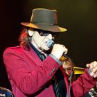 Udo Lindenberg 