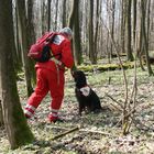 üben im Wald