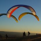 Übende Gleitschirmflieger - Zuschauen auf der Wasserkuppe kurz vor dem SonnenuntergangDSC06006 