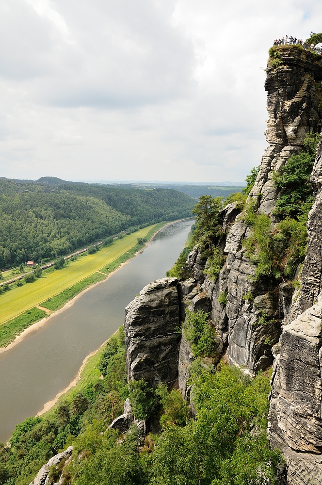 Über 194 m steil fällt das schmale Felsriff von der Bastei zur Elbe ab.