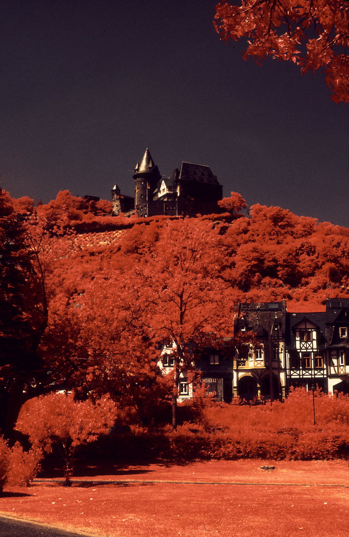 Über allem: Burg Stahleck am Rhein