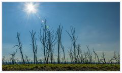 Über Allem strahlt die Sonne