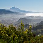 Über allem wacht der Teide