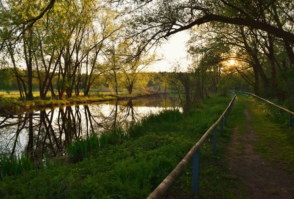 Über allen Wipfeln ist Ruh´