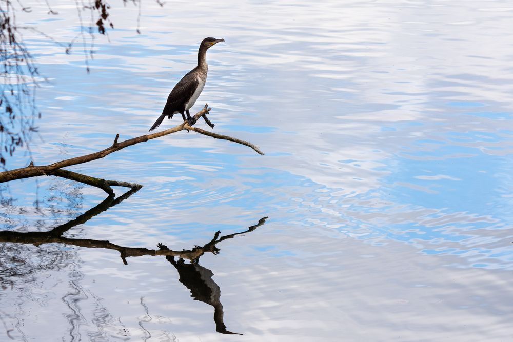 über blauem Wasser