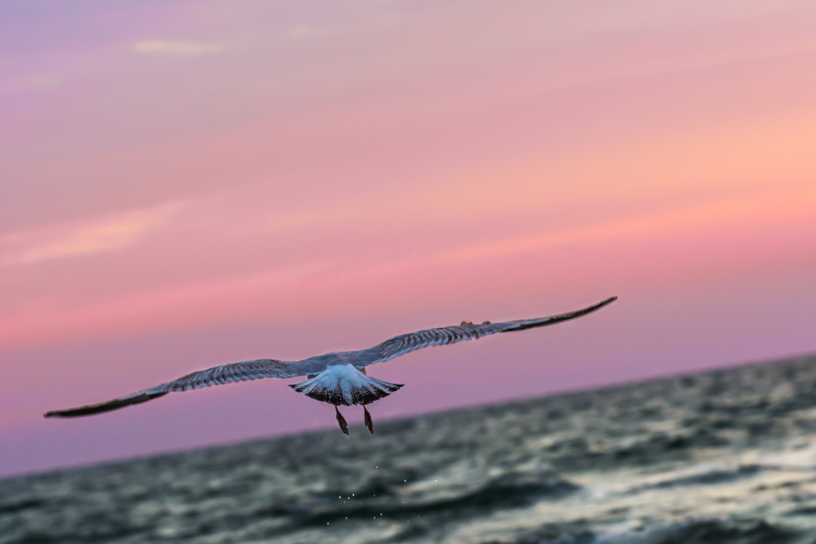 Über das Meer fliegen