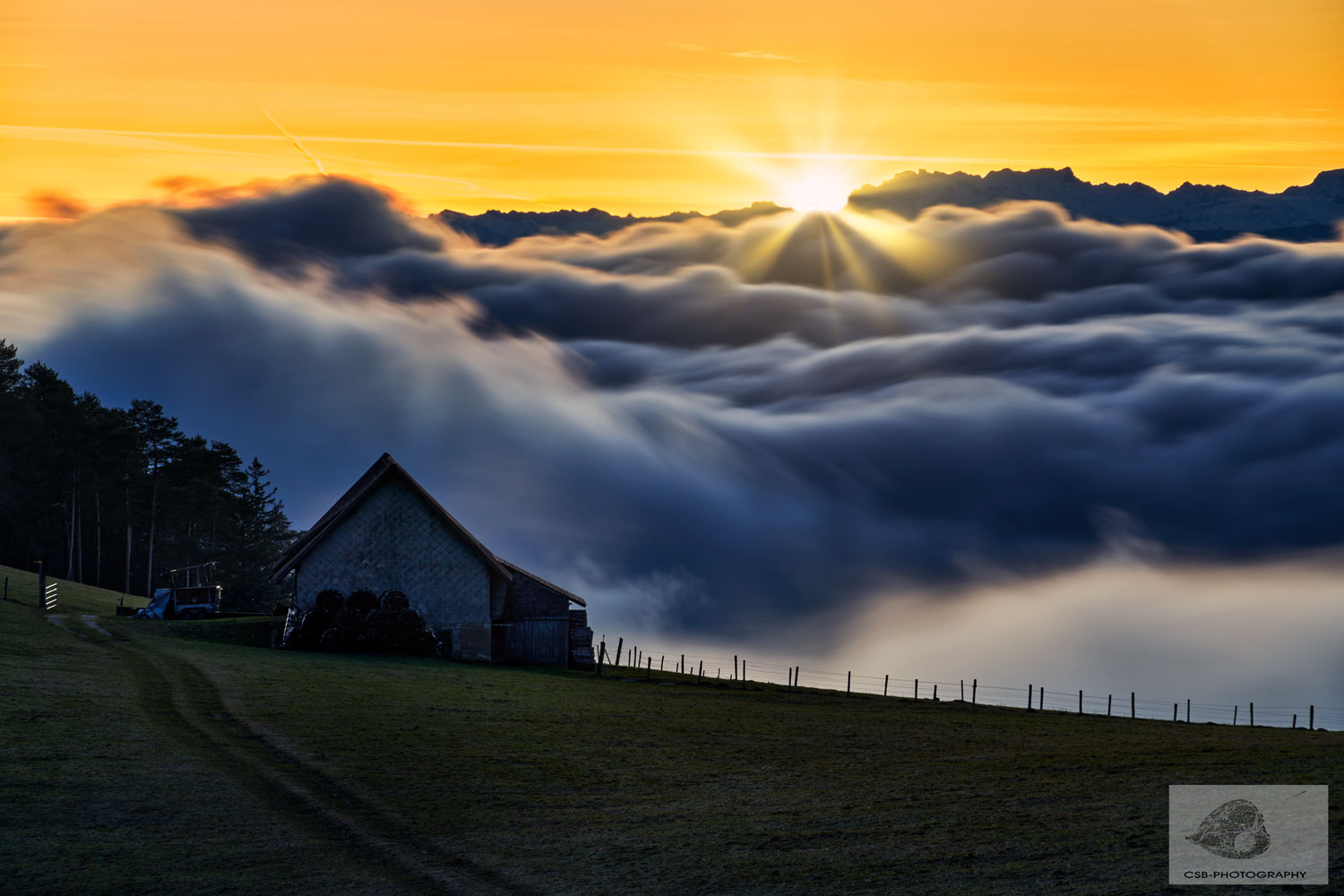 Über das Nebelmeer bis zu den Alpen