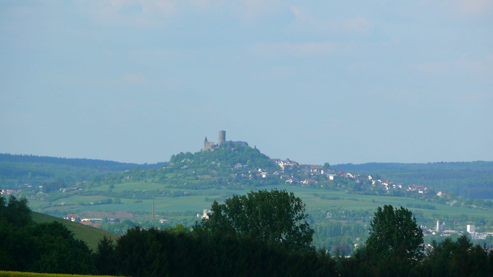 Über das Rapsfeld geblickt