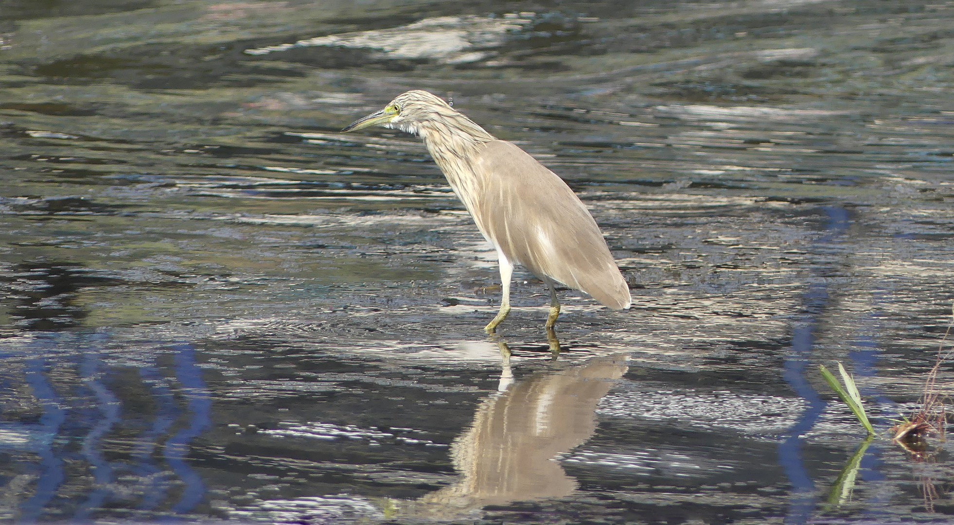 Über das Wasser gehen