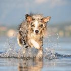 Über das Wasser laufen....