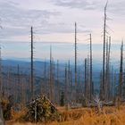 Über dem Bayrischen Wald 3