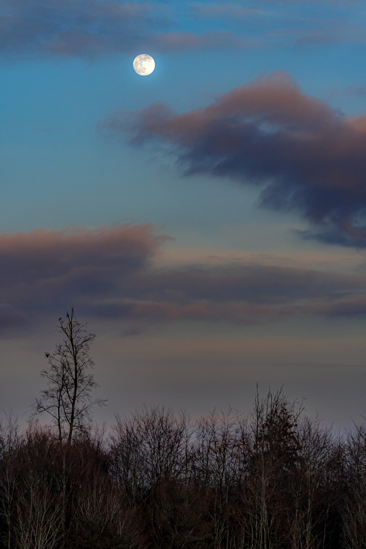 Über dem Feld vor Sonnenuntergang