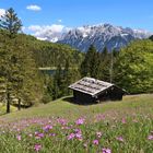 Über dem Ferchensee