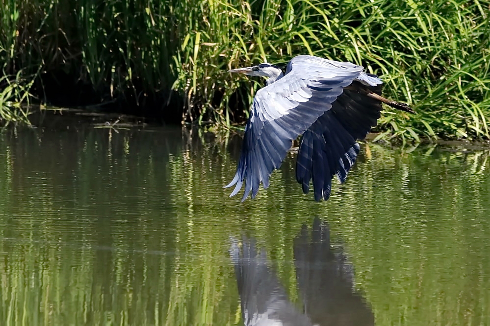 über dem Fluss