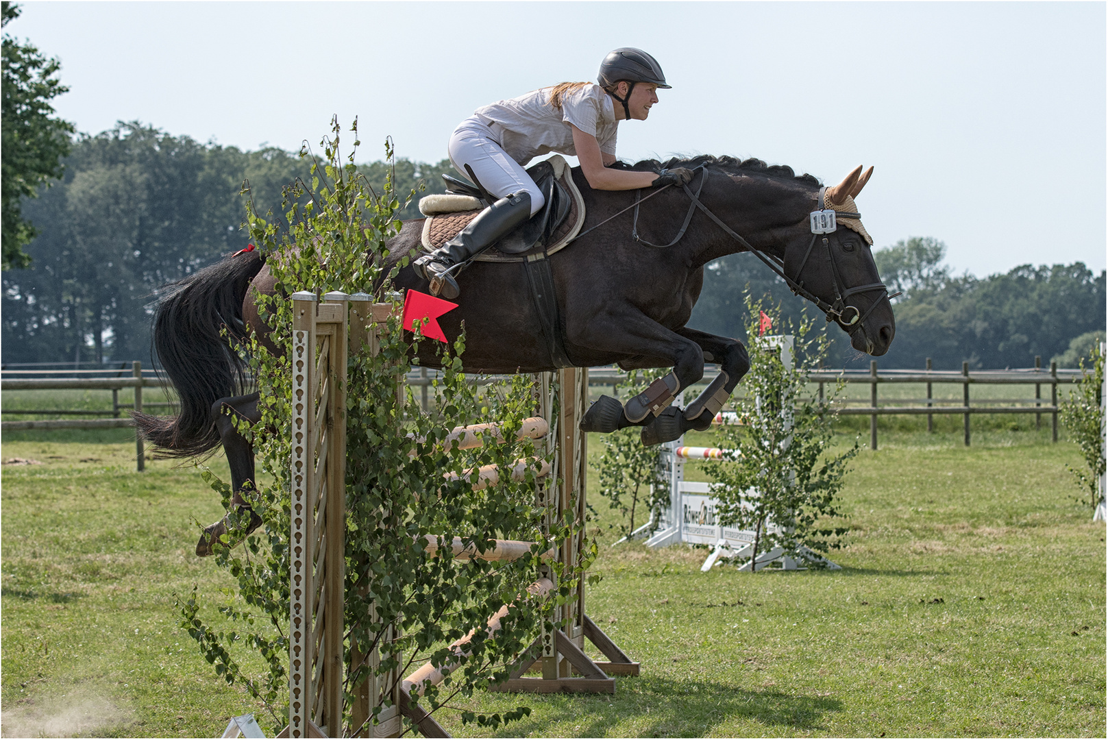 Über dem Hindernis Foto & Bild | sport, outdoor, elegant Bilder auf