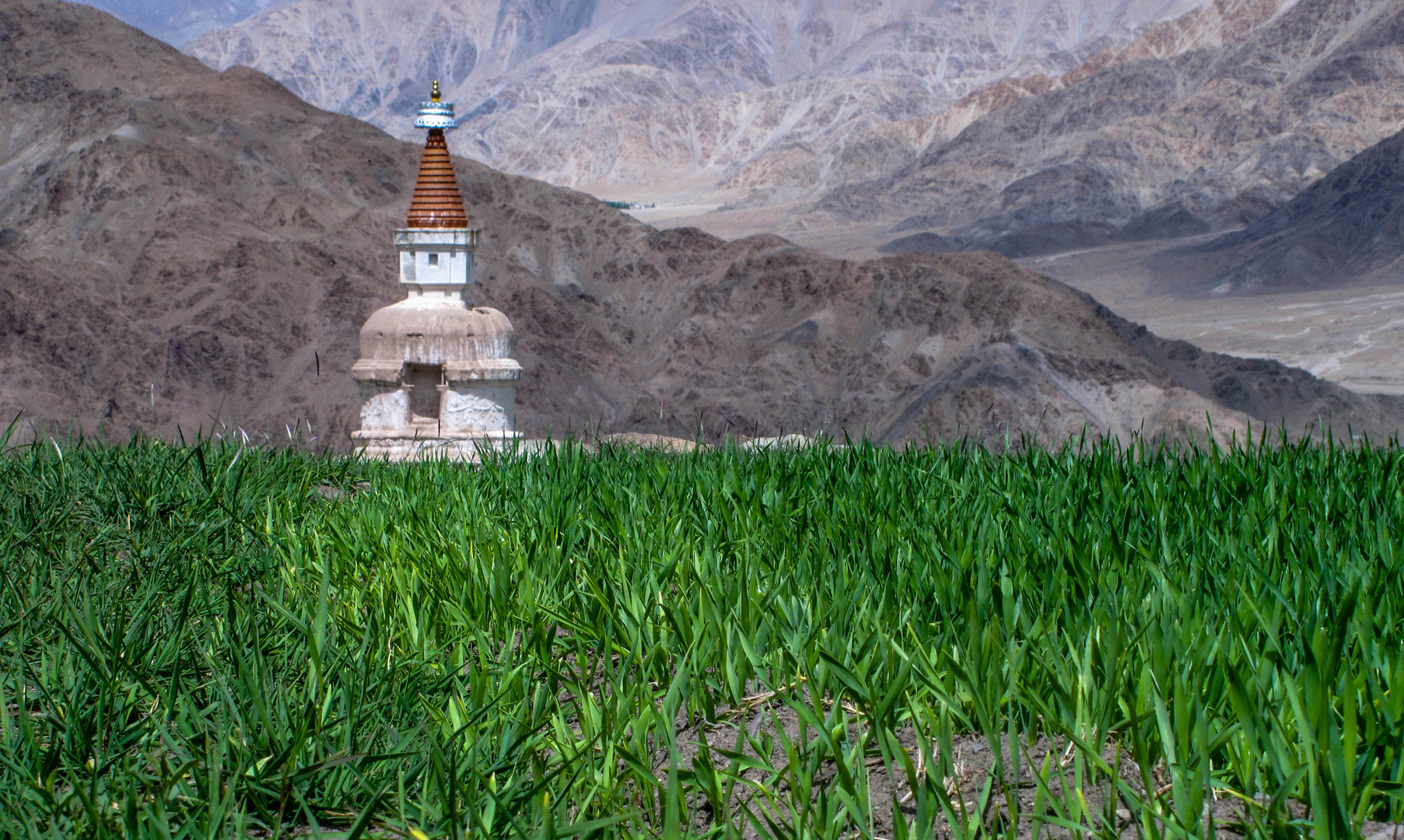 Über dem Industal (Ladakh)