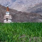 Über dem Industal (Ladakh)