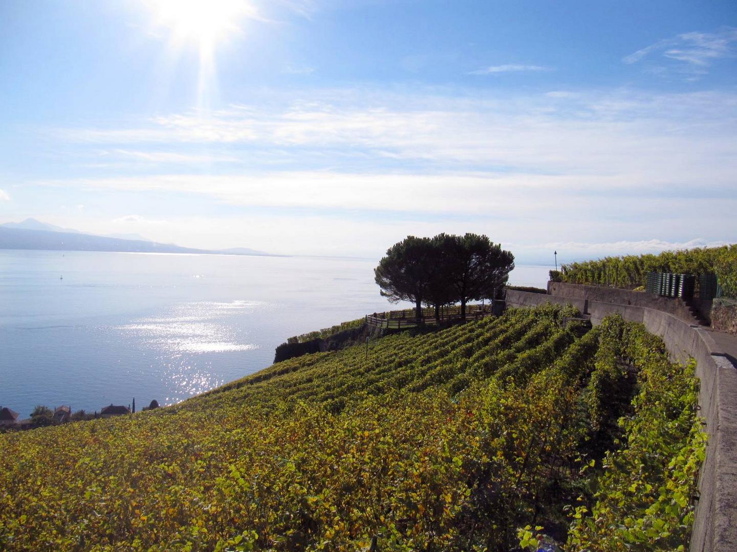 Über dem Lac Léman ...