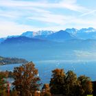 Über dem Luzerner Seebecken & den Zentralschweizer Alpen ...