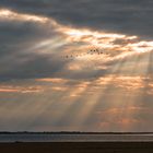 ...über dem Meer ~ Flug ins Licht...