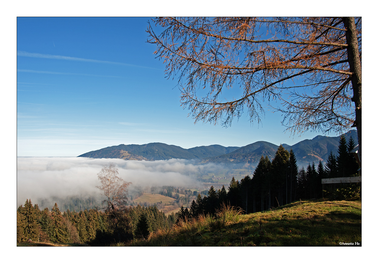 Über dem Nebel