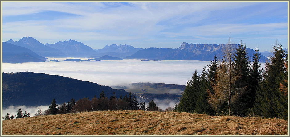 Über dem Nebel