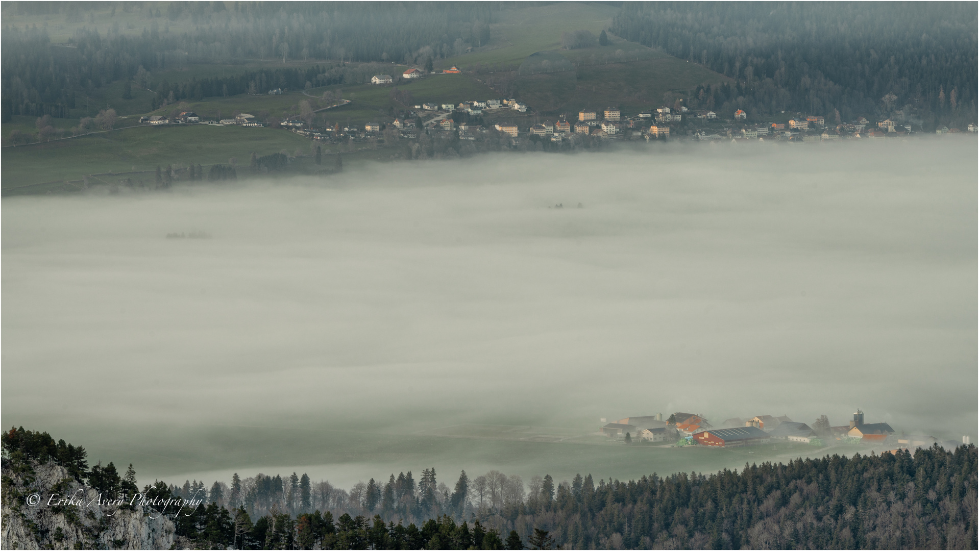 Über dem Nebel