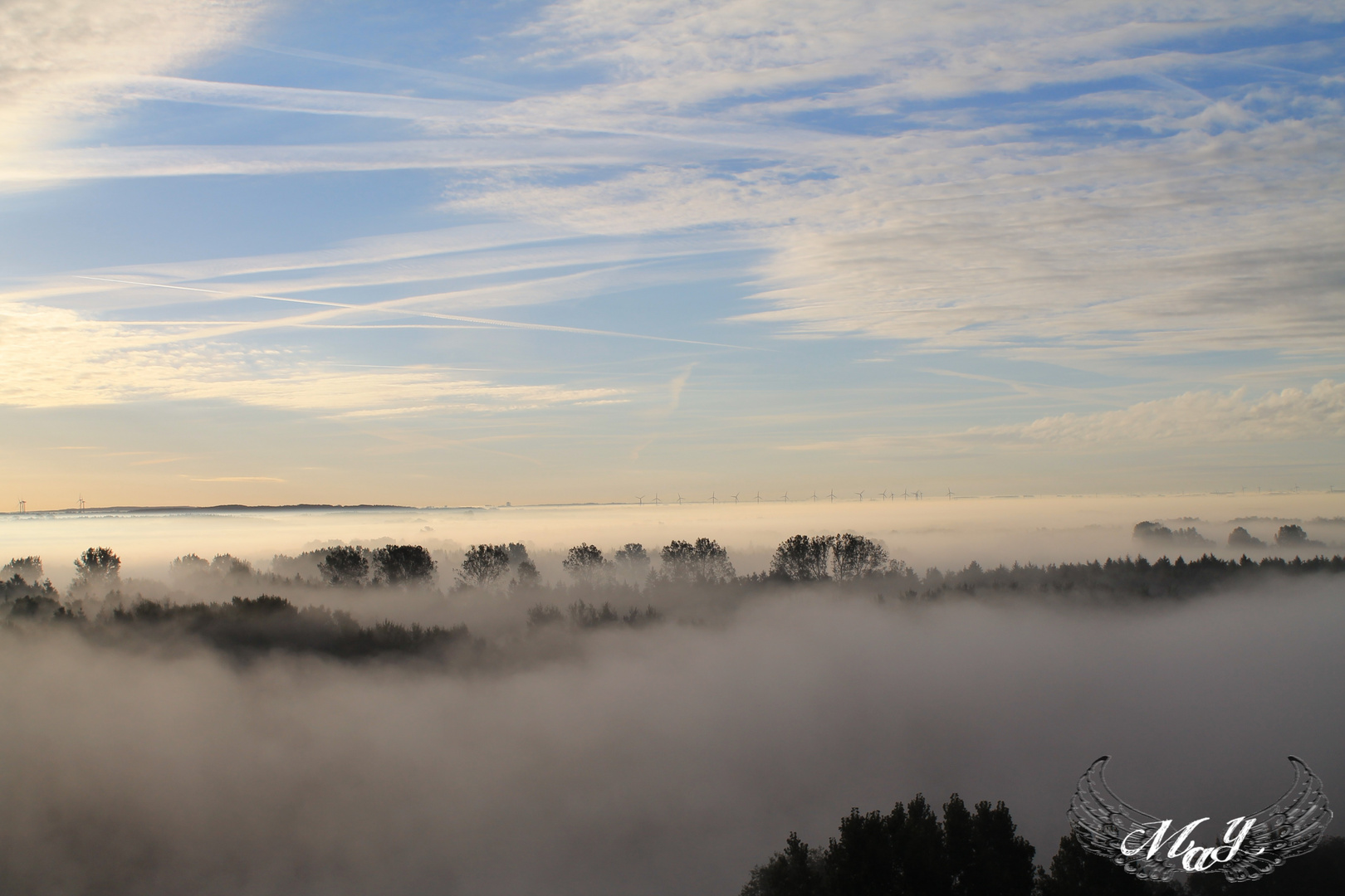 Über dem Nebel...