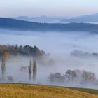 Über dem Nebel