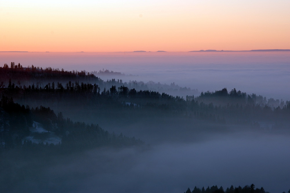 über dem Nebel