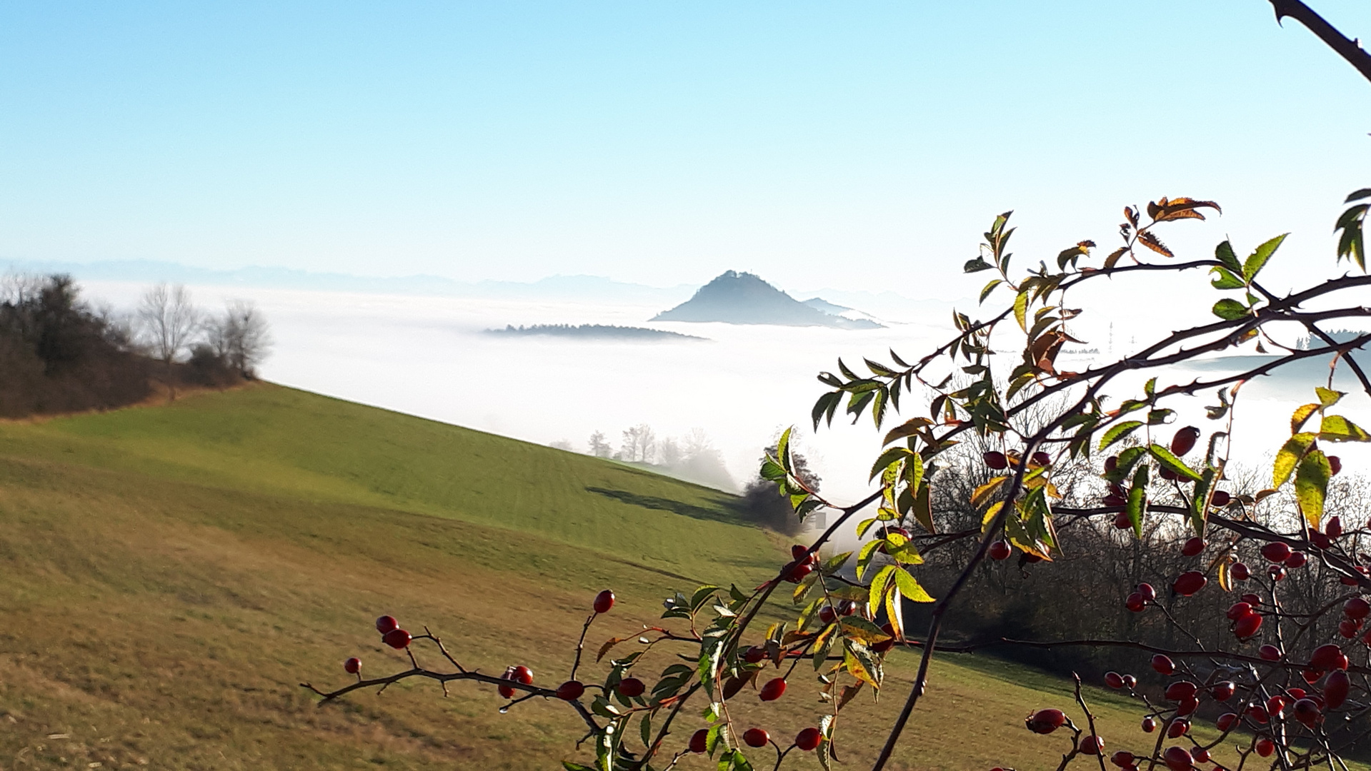 Über dem Nebel ..... (2)