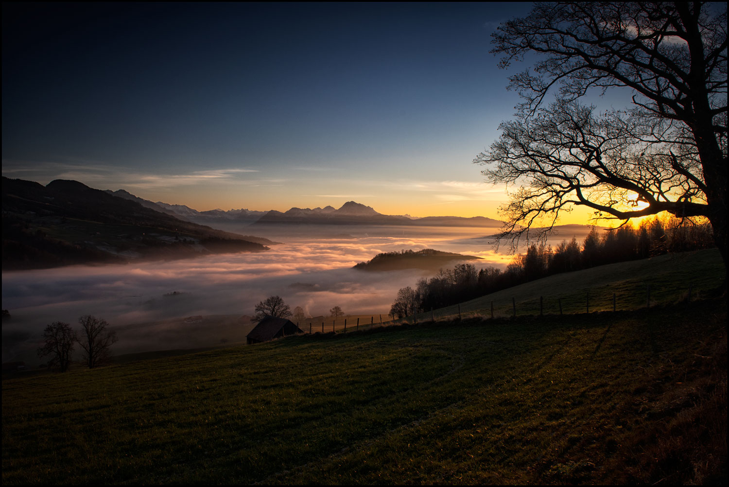 Über dem Nebel.