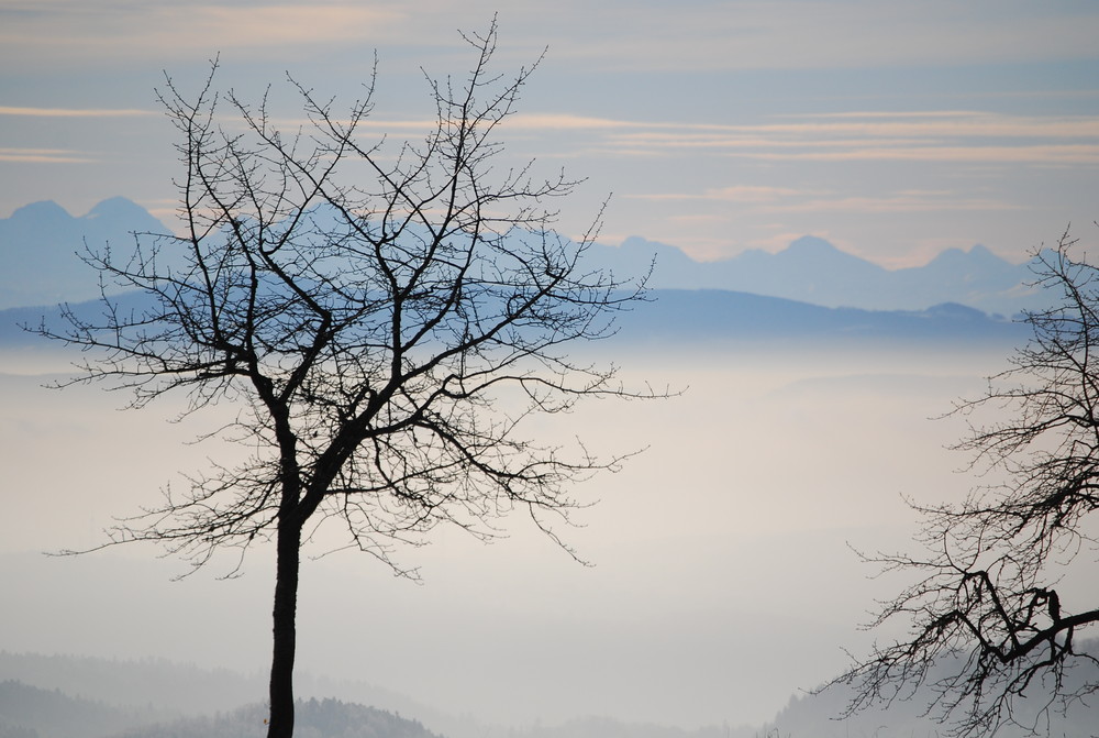 über dem Nebel