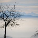 über dem Nebel