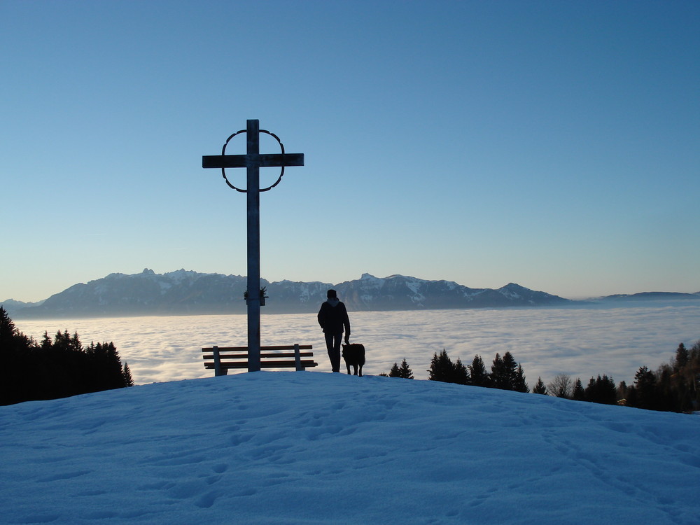 Über dem Nebel