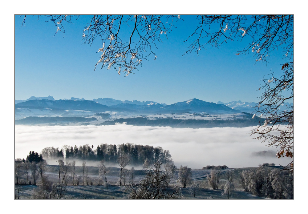 Über dem Nebel ...