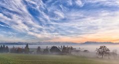 über dem Nebel