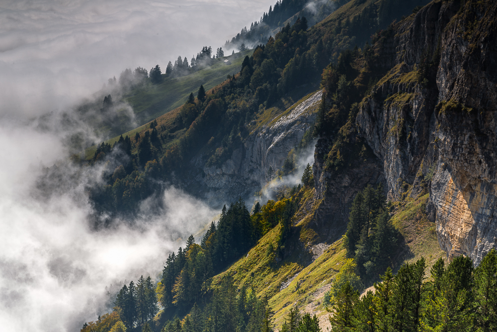 Über dem Nebel