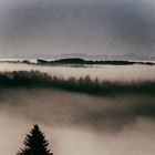 Über dem Nebel