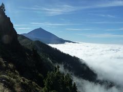 Über dem Nebel