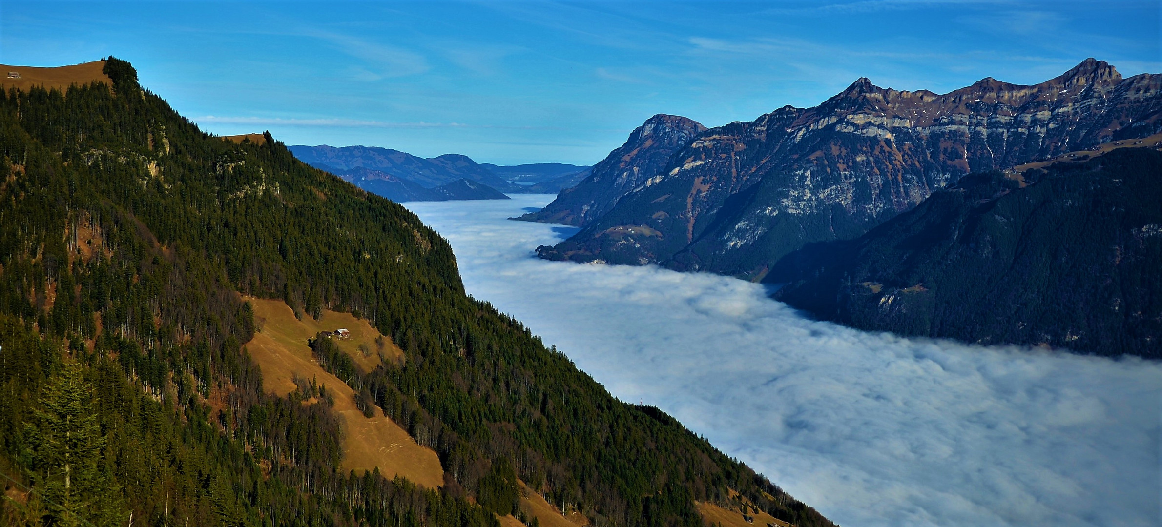 Ueber dem Nebel