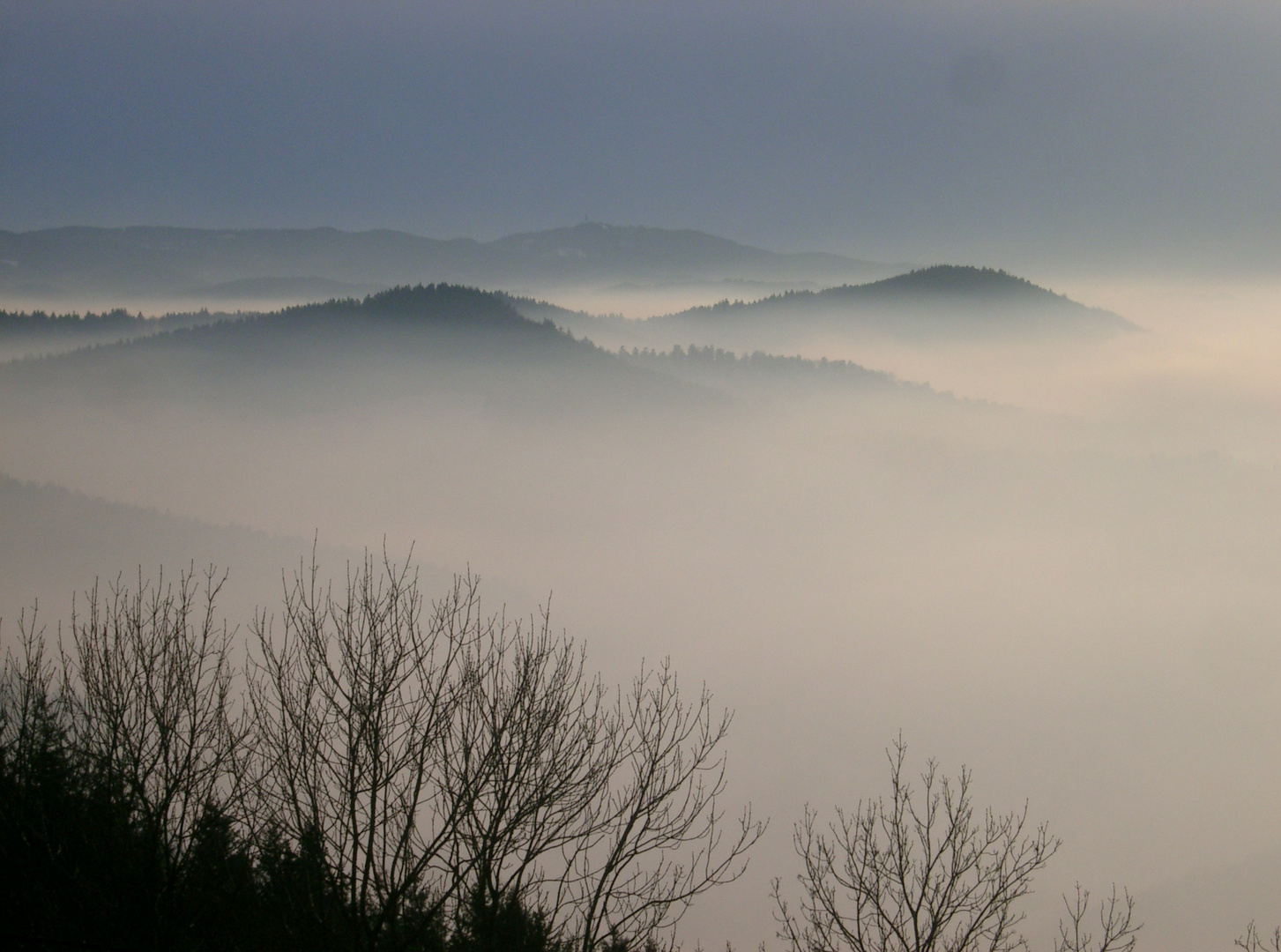 Über dem Nebel