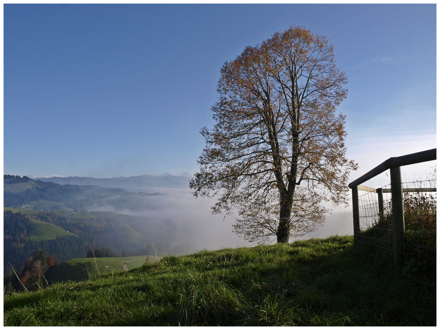 Über dem Nebel