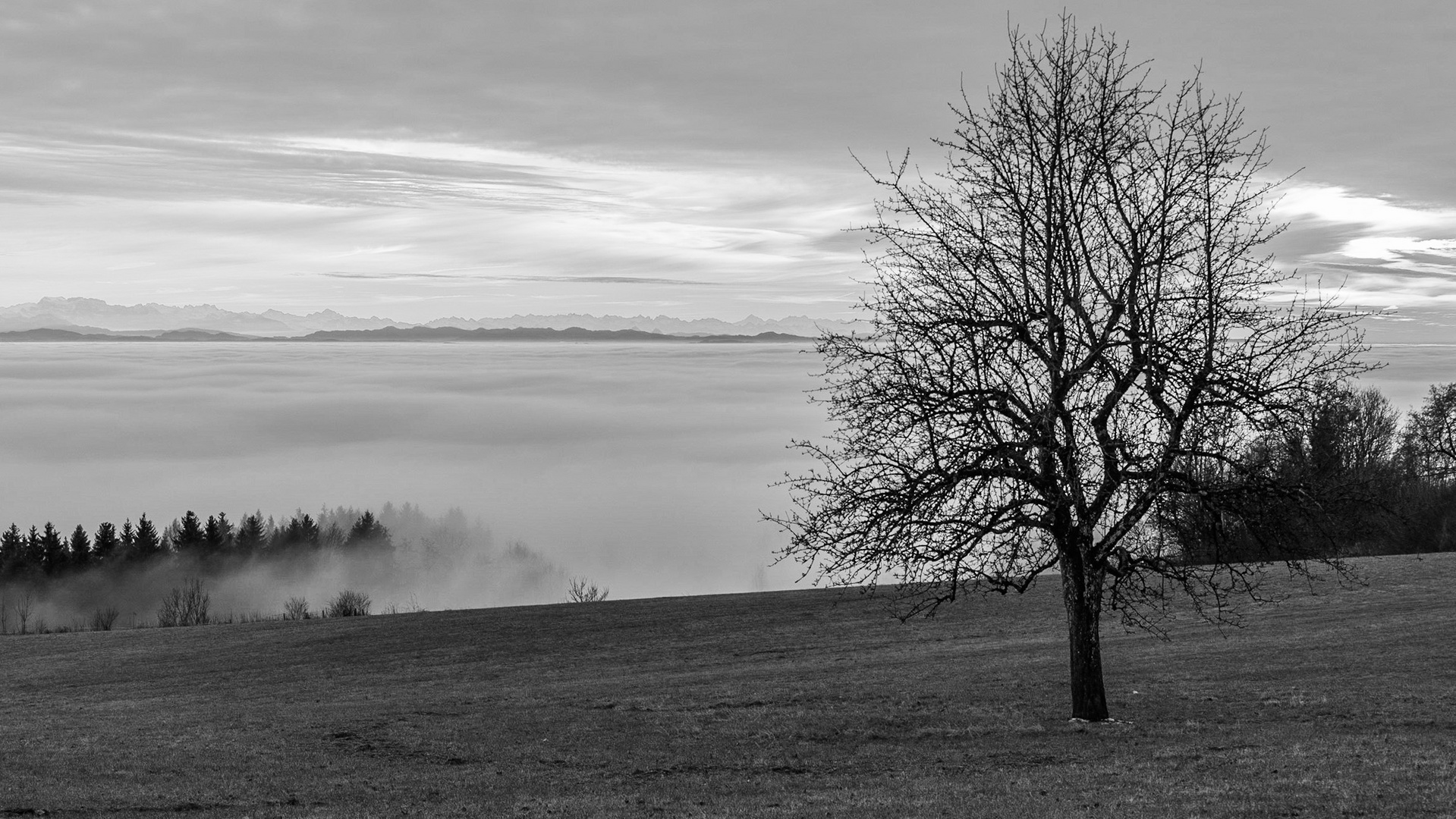 Über dem Nebel